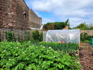 Rattray Community Garden - Saturdays