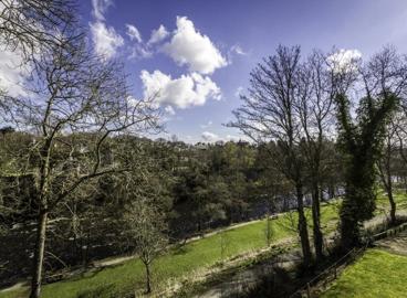 Wild Nature Story Walk - Riverside